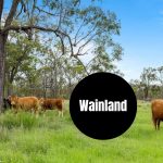 Wainland